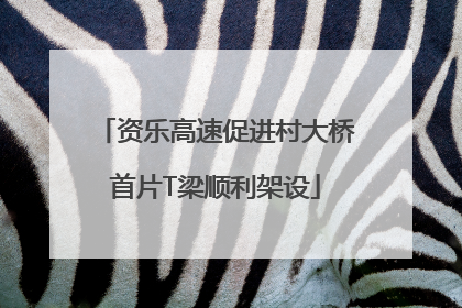 资乐高速促进村大桥首片T梁顺利架设
