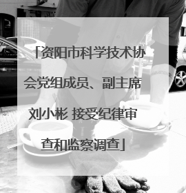资阳市科学技术协会党组成员、副主席刘小彬 接受纪律审查和监察调查