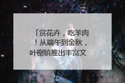 赏花卉，吃羊肉！从端午到金秋，叶榭镇推出丰富文旅活动邀您爽玩