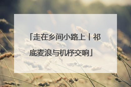 走在乡间小路上丨祁底麦浪与机杼交响