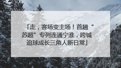 走，客场变主场！首趟“苏超”专列连通宁淮，跨城追球成长三角人新日常