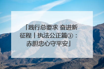 践行总要求 奋进新征程丨执法公正篇③：赤胆忠心守平安