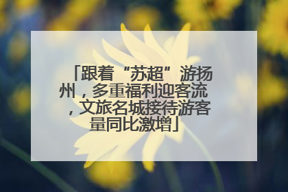 跟着“苏超”游扬州，多重福利迎客流，文旅名城接待游客量同比激增