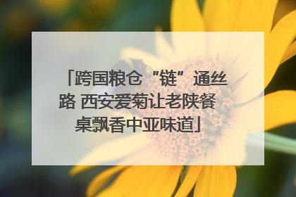 跨国粮仓“链”通丝路 西安爱菊让老陕餐桌飘香中亚味道