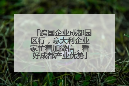 跨国企业成都园区行，意大利企业家忙着加微信，看好成都产业优势