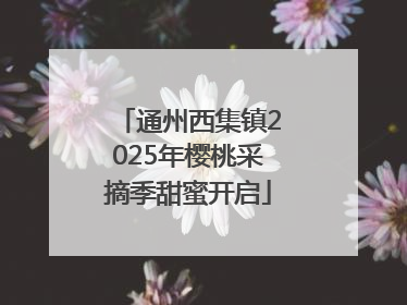 通州西集镇2025年樱桃采摘季甜蜜开启