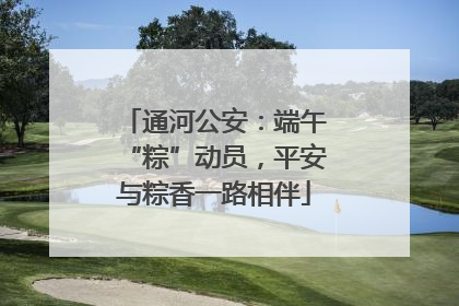 通河公安：端午“粽”动员，平安与粽香一路相伴