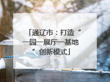 通辽市：打造“一园一展厅一基地”创新模式