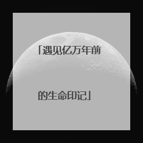 遇见亿万年前的生命印记