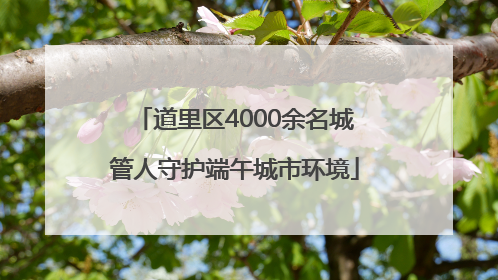 道里区4000余名城管人守护端午城市环境
