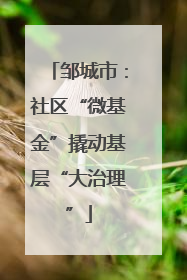 邹城市：社区“微基金”撬动基层“大治理”