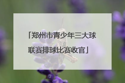 郑州市青少年三大球联赛排球比赛收官