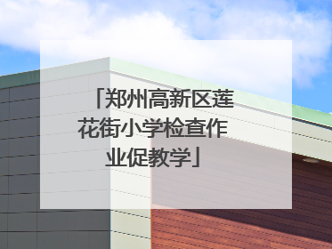 郑州高新区莲花街小学检查作业促教学