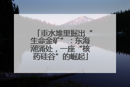 重水堆里掘出“生命金矿”：东海潮涌处，一座“核药硅谷”的崛起