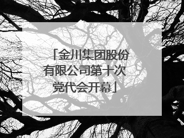 金川集团股份有限公司第十次党代会开幕