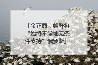 金正恩：朝鲜将“始终不渝地无条件支持”俄罗斯