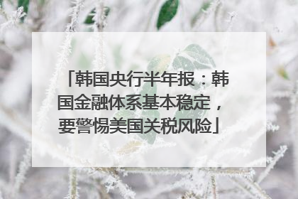 韩国央行半年报：韩国金融体系基本稳定，要警惕美国关税风险