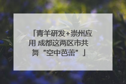青羊研发+崇州应用 成都这两区市共舞“空中芭蕾”