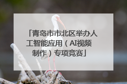 青岛市市北区举办人工智能应用（AI视频制作）专项竞赛