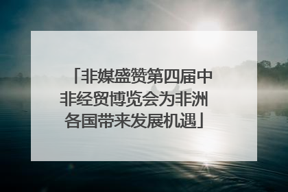 非媒盛赞第四届中非经贸博览会为非洲各国带来发展机遇