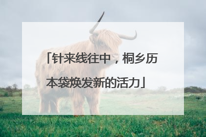 针来线往中，桐乡历本袋焕发新的活力