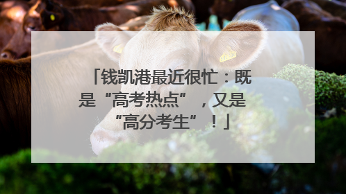 钱凯港最近很忙：既是“高考热点”，又是“高分考生”！