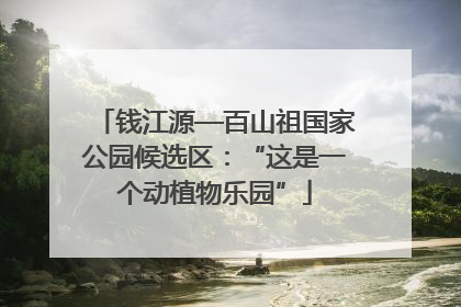 钱江源—百山祖国家公园候选区：“这是一个动植物乐园”