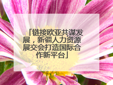 链接欧亚共谋发展，新疆人力资源展交会打造国际合作新平台