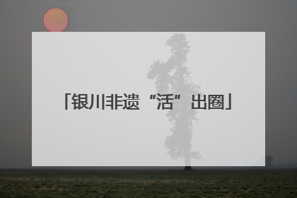 银川非遗“活”出圈