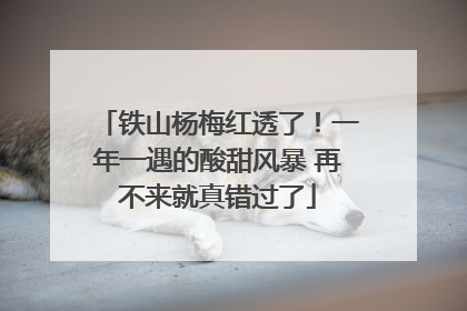 铁山杨梅红透了！一年一遇的酸甜风暴 再不来就真错过了