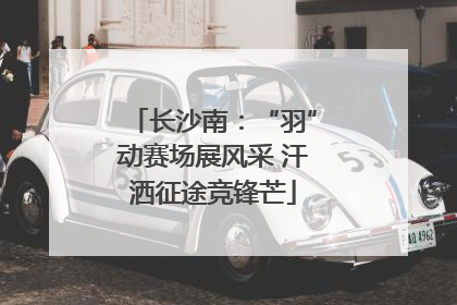 长沙南：“羽”动赛场展风采 汗洒征途竞锋芒