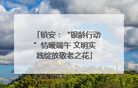 镇安：“银龄行动”情暖端午 文明实践绽放敬老之花
