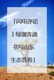 闪电评论丨绿潮奔涌 书写山东生态答卷