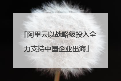 阿里云以战略级投入全力支持中国企业出海