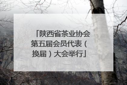 陕西省茶业协会第五届会员代表（换届）大会举行