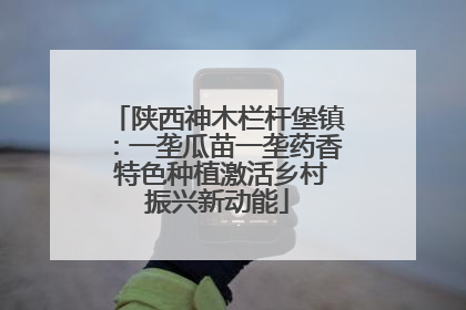 陕西神木栏杆堡镇：一垄瓜苗一垄药香 特色种植激活乡村振兴新动能