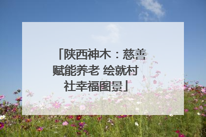 陕西神木：慈善赋能养老 绘就村社幸福图景