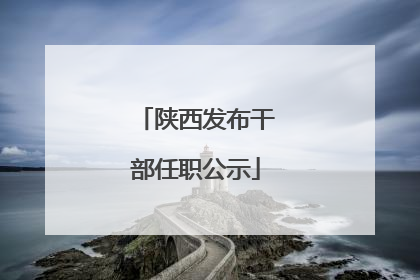 陕西发布干部任职公示