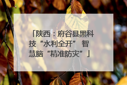 陕西：府谷县黑科技“水利全开” 智慧脑“精准防灾”