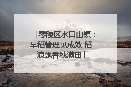零陵区水口山镇：早稻管理见成效 稻浪飘香穗满田