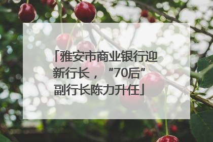 雅安市商业银行迎新行长，“70后”副行长陈力升任