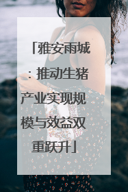 雅安雨城：推动生猪产业实现规模与效益双重跃升