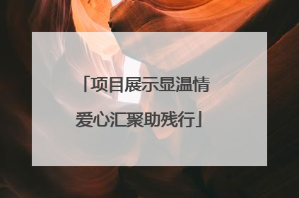 项目展示显温情 爱心汇聚助残行
