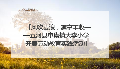 风吹麦浪，趣享丰收——五河县申集镇大李小学开展劳动教育实践活动