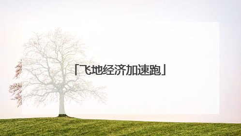 飞地经济加速跑