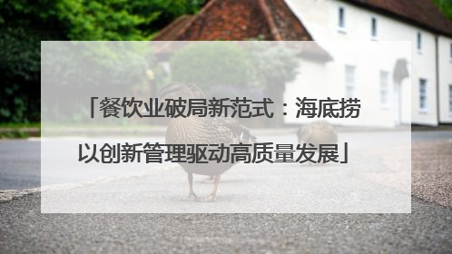 餐饮业破局新范式：海底捞以创新管理驱动高质量发展
