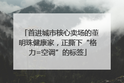 首进城市核心卖场的董明珠健康家，正撕下“格力=空调”的标签