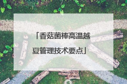 香菇菌棒高温越夏管理技术要点