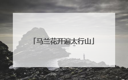 马兰花开遍太行山