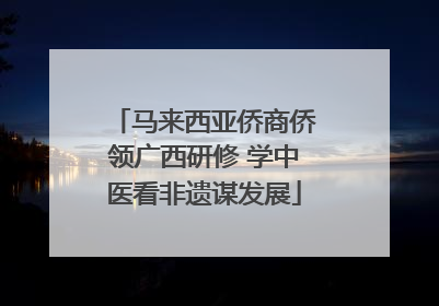 马来西亚侨商侨领广西研修 学中医看非遗谋发展